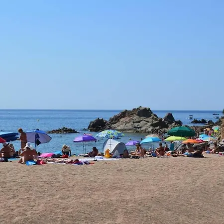 Apartamento- Estudio Aloe Apartamento Lloret de Mar