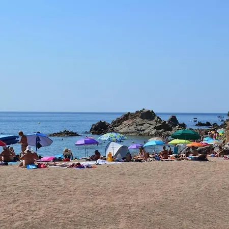 Apartamento- Estudio Aloe Apartment Lloret de Mar